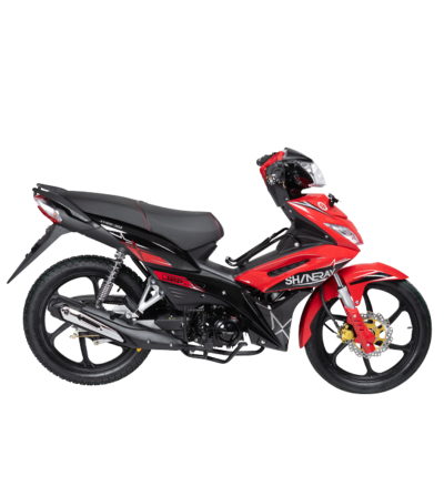 MOTO SHINERAY XY125-30A CABALLITO 125CC 