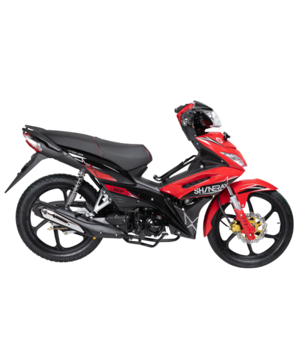 MOTO SHINERAY XY125-30A CABALLITO 125CC 