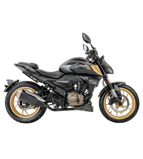 MOTO DAYTONA DY250 FEROCE 