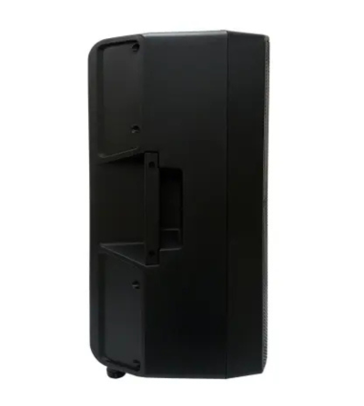 PARLANTE BAZZUKA P-212 300 WATTS 12" PROFESIONAL 