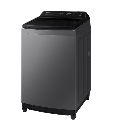 LAVADORA SAMSUNG 19KG AUT/GRIS/DIGITAL WA19CG6442BDAP