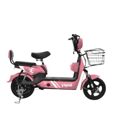MOTO ELECTRICA BENETY JY CON CANASTA 500W 