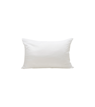 ALMOHADA CHAIDE AURORA 60 * 40 CM