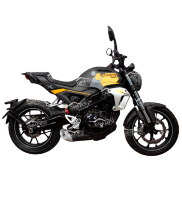 MOTO DUKARE DK250 HORNET 250CC