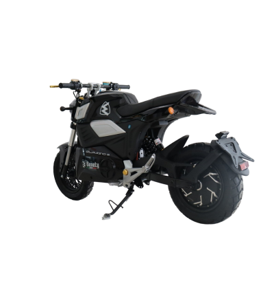 MOTO ELECTRICA BENETY CLASSIC 01 2000W