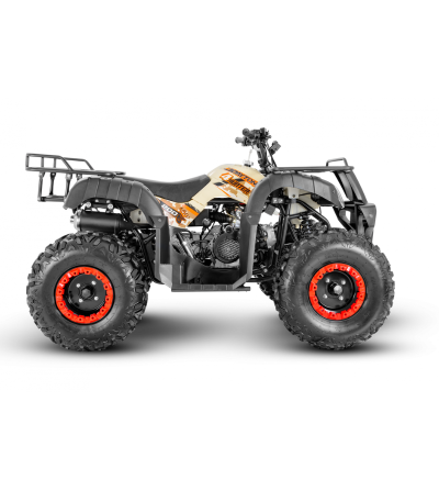 CUADRON DAYTONA DY200 4 HUNTER 200CC