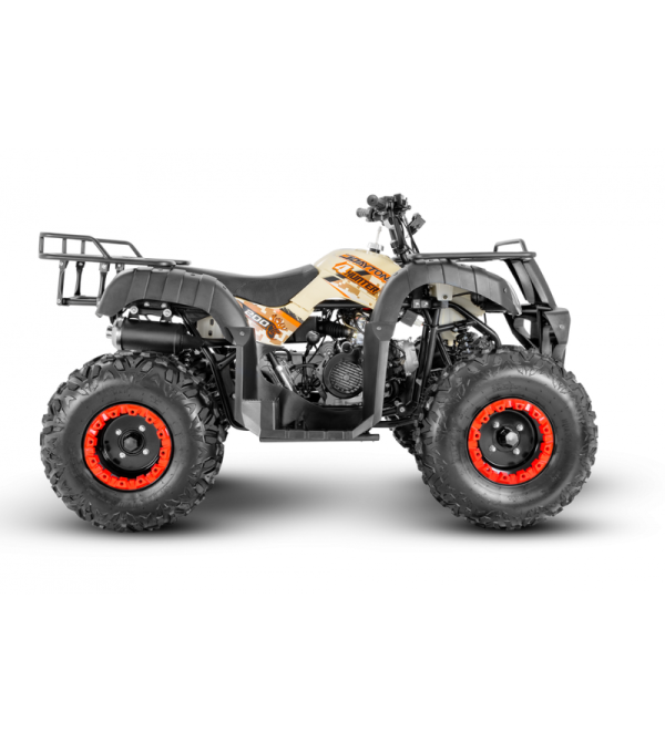 CUADRON DAYTONA DY200 4 HUNTER 200CC