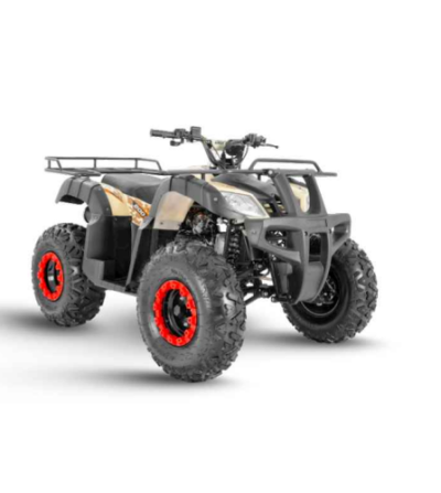 CUADRON DAYTONA DY200 4 HUNTER 200CC