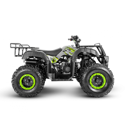 CUADRON DAYTONA DY200 4 HUNTER 200CC