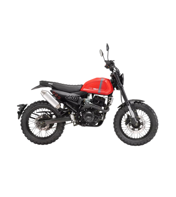 MOTO IGM RALLY 250 2024