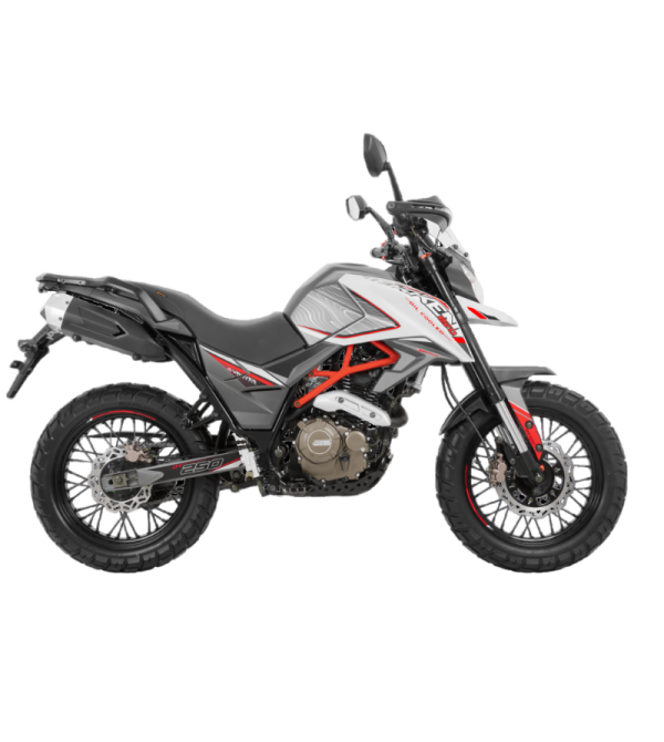 MOTO DAYTONA DY250 TEKKEN EVO 2025