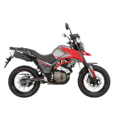 MOTO DAYTONA DY250 TEKKEN EVO 2025
