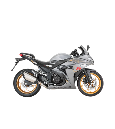 MOTO DAYTONA DY250 GP-1R* 2025