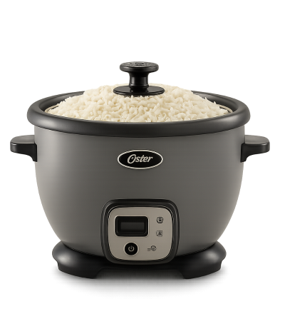 OLLA ARROCERA OSTER CKSTRC8029S-013 700W