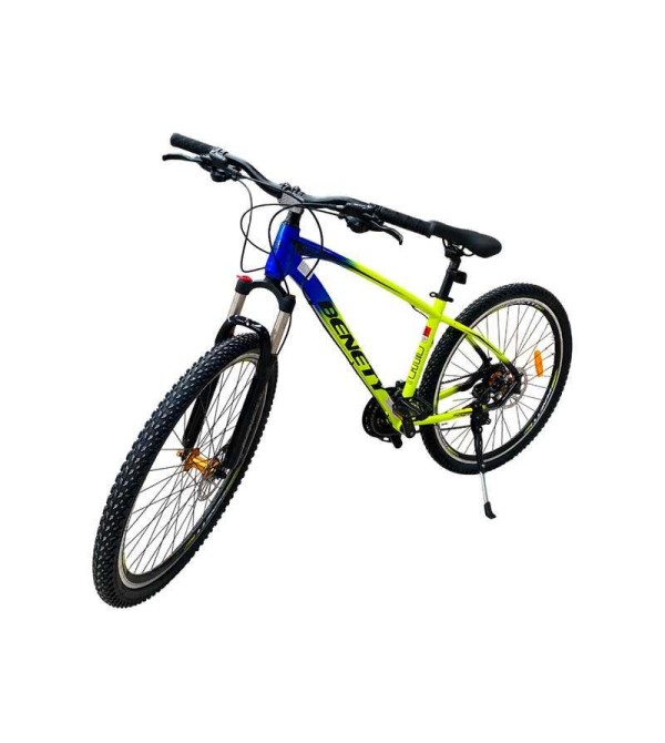 BICICLETA BENETY TERRA MAX ARO 29