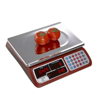 BALANZA CAMRY JE31 DIGITAL SIN BRAZO 30KG