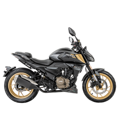 MOTO DAYTONA DY250 FEROCE 