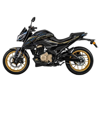 MOTO DAYTONA DY250 WOLF EVOLUTION 