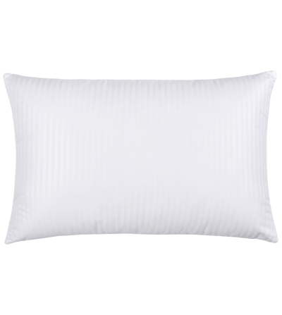 ALMOHADA AVESTRUZ 45*60CM
